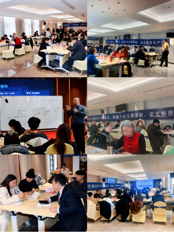 告别内卷，拥抱“一人公司”——脑世界AI数智科技首期OPC创业培训圆满落幕