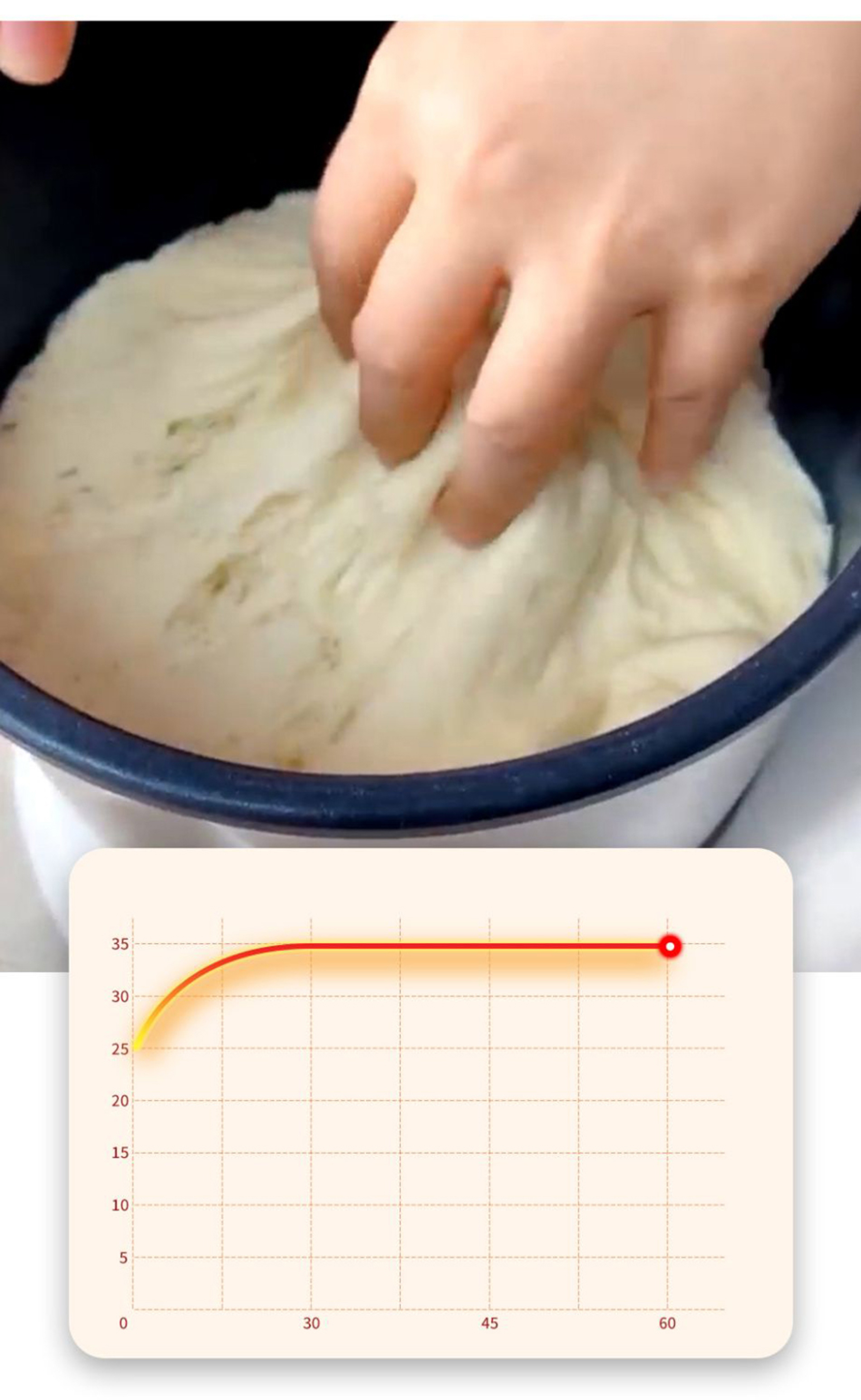 多功能面点料理机