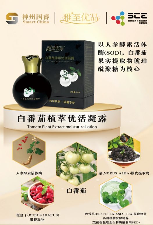 白番茄，你不能错过的机会