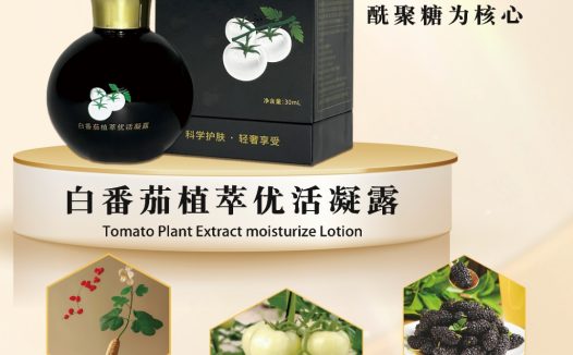 白番茄，你不能错过的机会