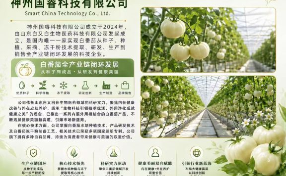 白番茄风口崛起，全产业链开启健康美肤新赛道